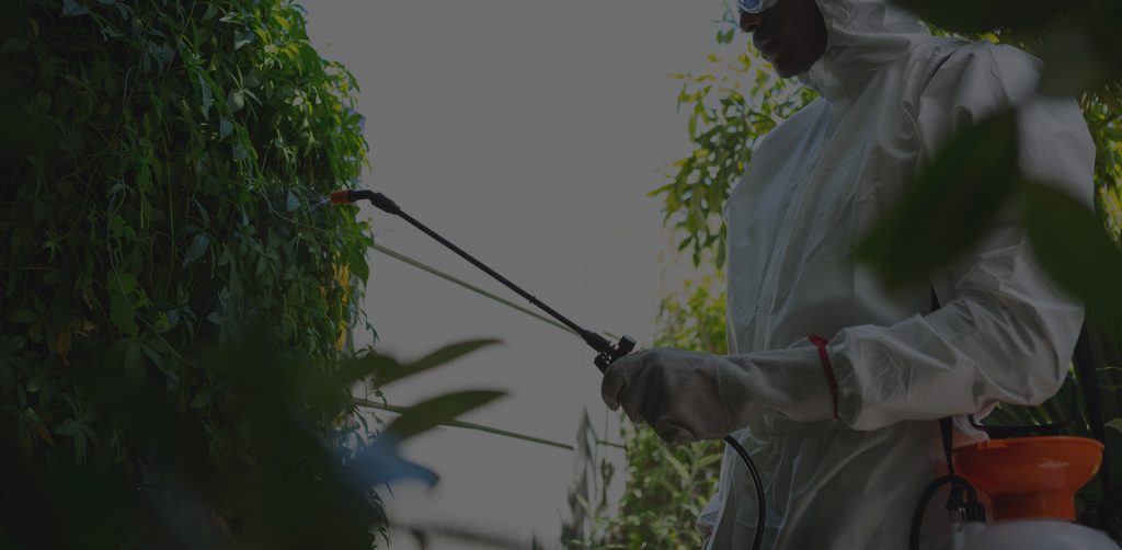 Pest Control PestTec