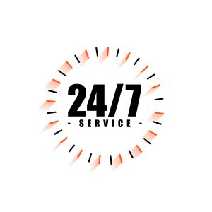 24 Hour Emergency Pest Control Crawley