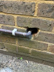 Residential Pest Control Crawley