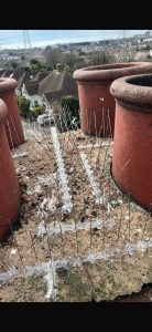 Residential Pest Control Crawley