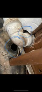 Commercial Pest Control Crawley