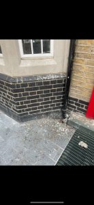 Commercial Pest Control Crawley