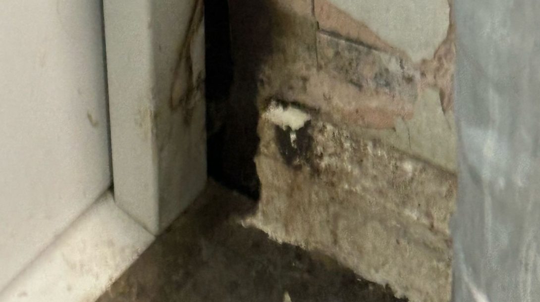 Residential Pest Control Crawley