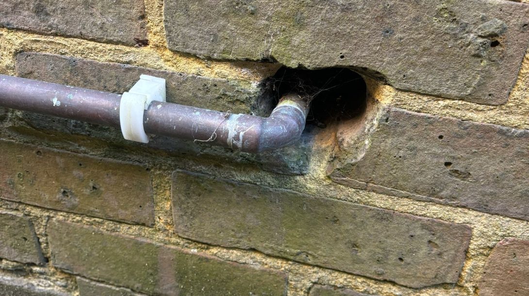 Residential Pest Control Crawley