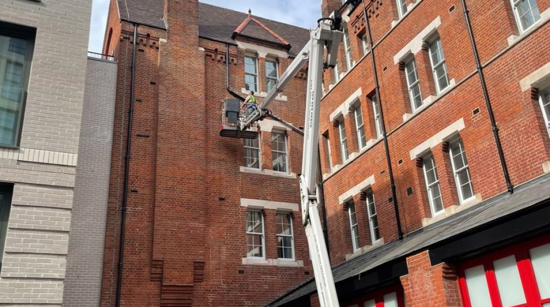 Commercial Pest Control Crawley